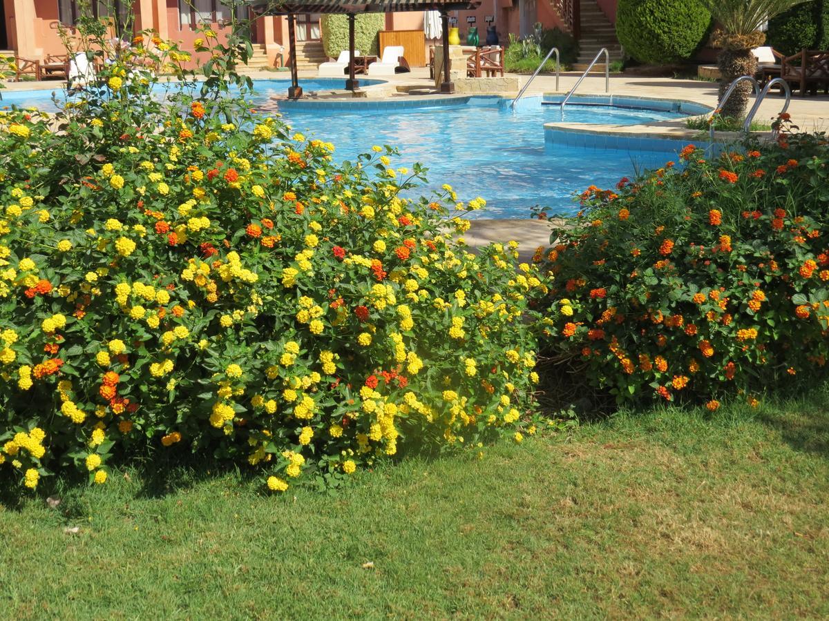 Africana Hotel & Spa Qaryat Shakush Ngoại thất bức ảnh